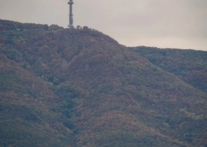 アパート Modern Vitosha View With Free Parking *